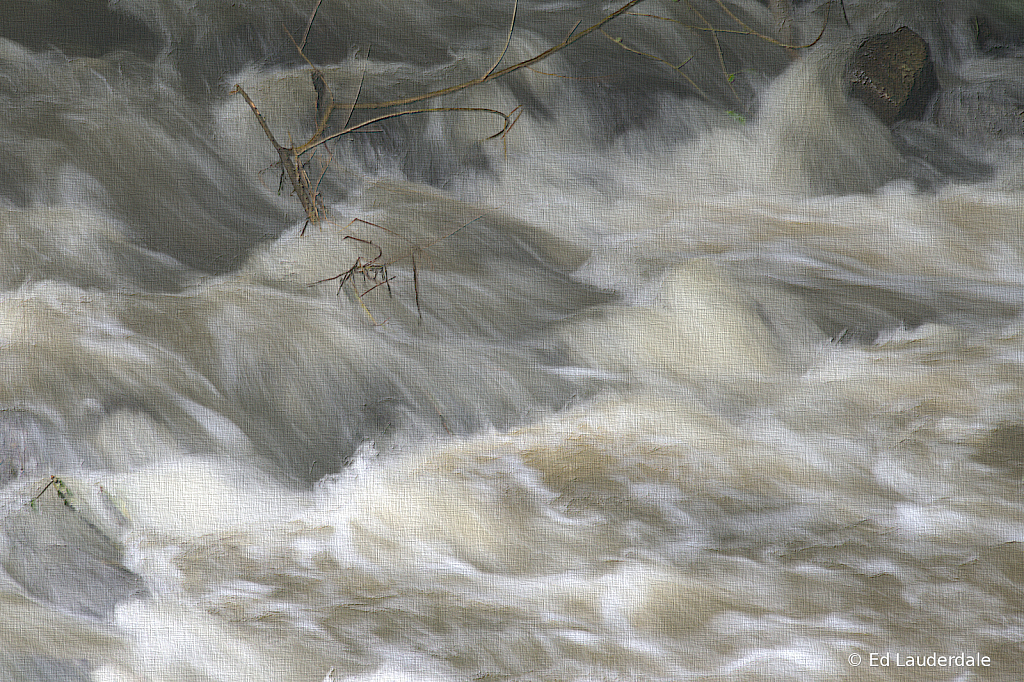 Bayou Rapids