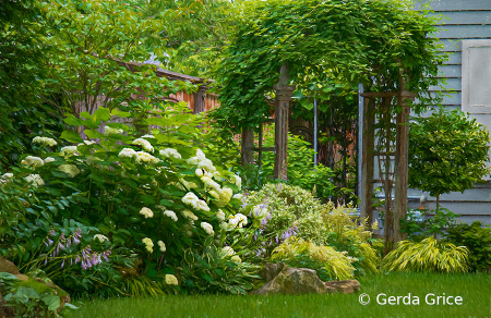 In the Shepard House Garden