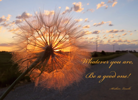 Whatever You Are..Be A Good One