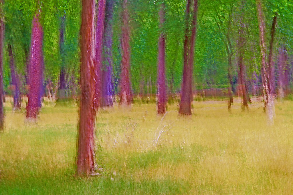 img5