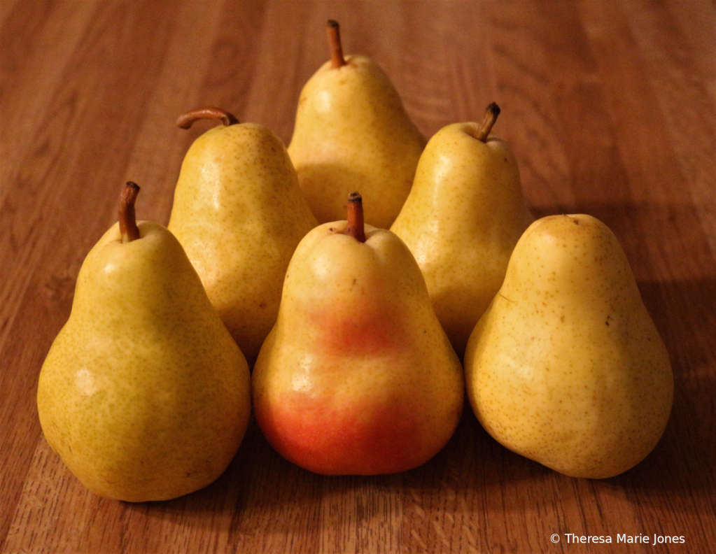 Pears - ID: 15944425 © Theresa Marie Jones
