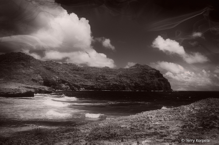 Scenic View Kauai B&W Infrared