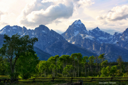 ~ Summer in the Teton's ~