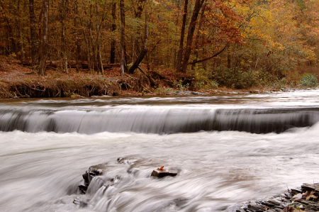 Autumn Rush