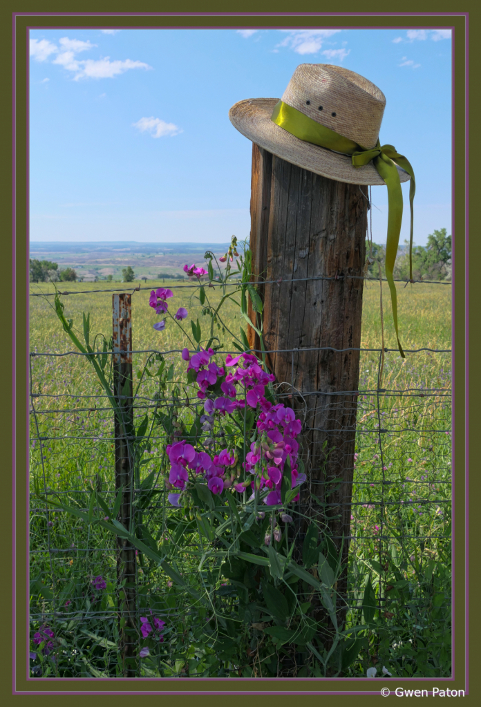 Hat on post