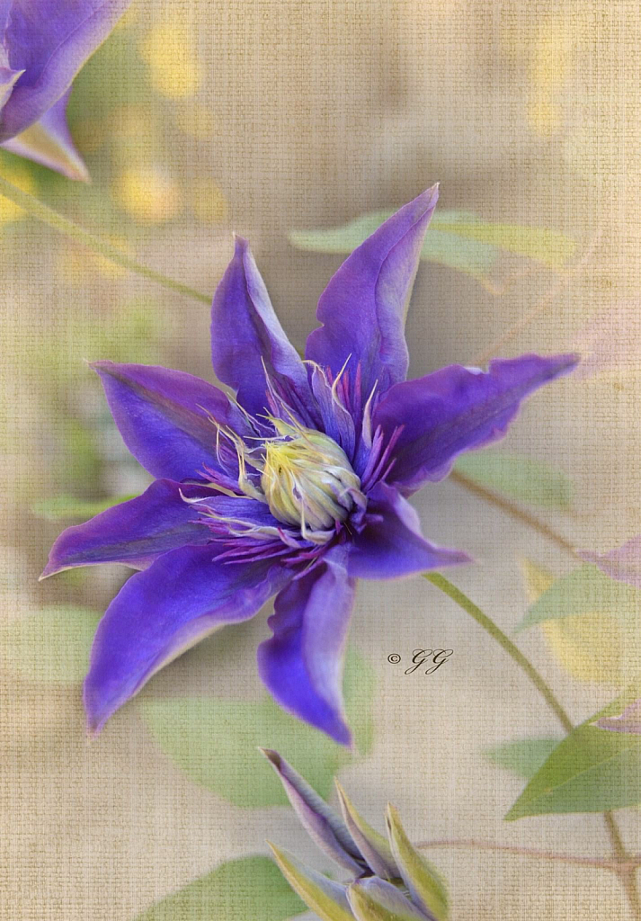 Purple Flowers is G.G. Leger
