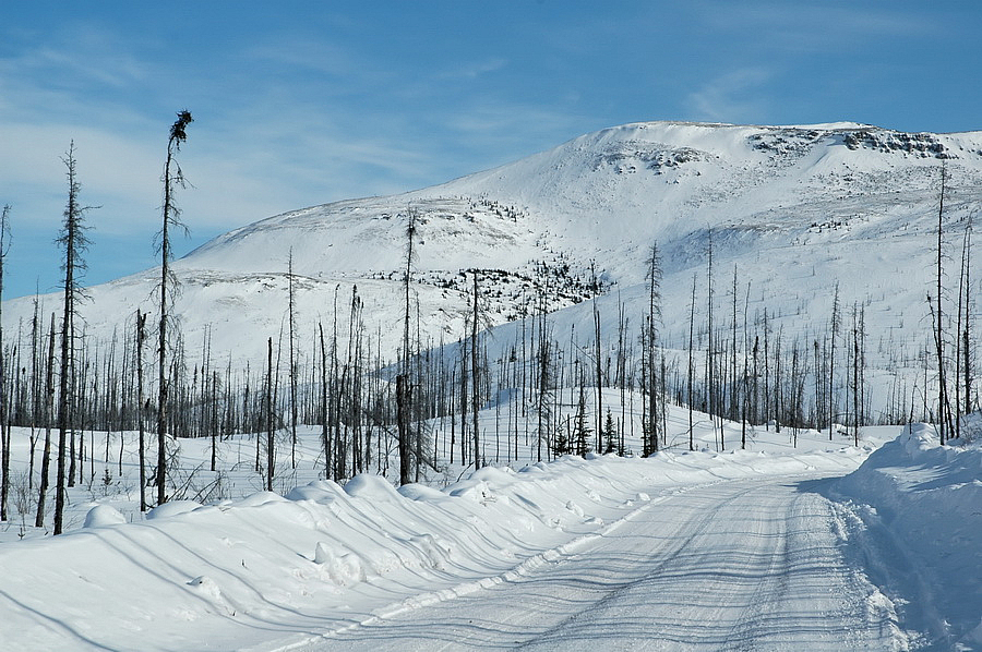 Near The Arctic Circle