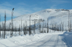 Near The Arctic C...