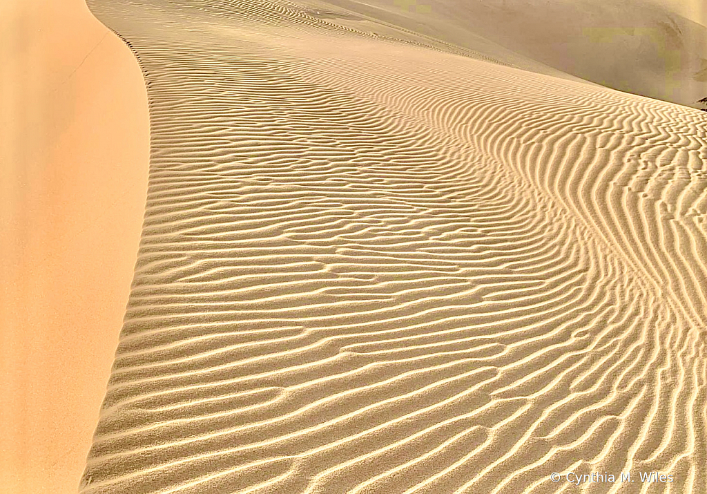 Beach Without Water