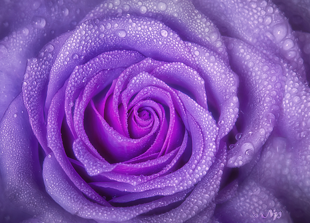 img8