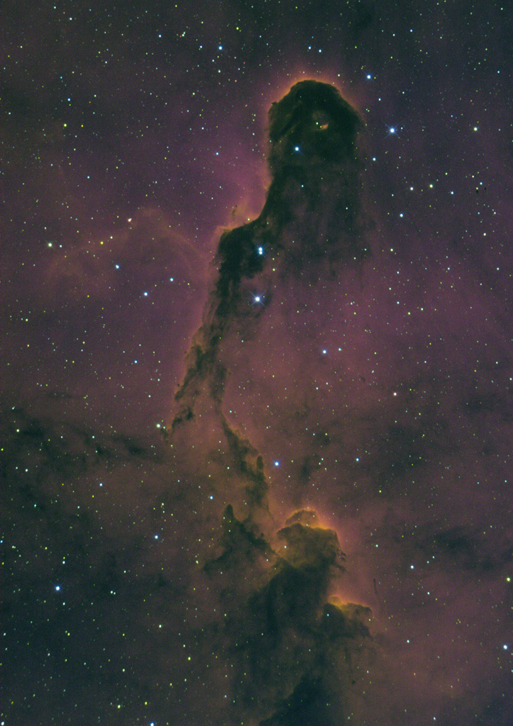 Elephant Trunk Nebula - ID: 15945357 © Greg Harp