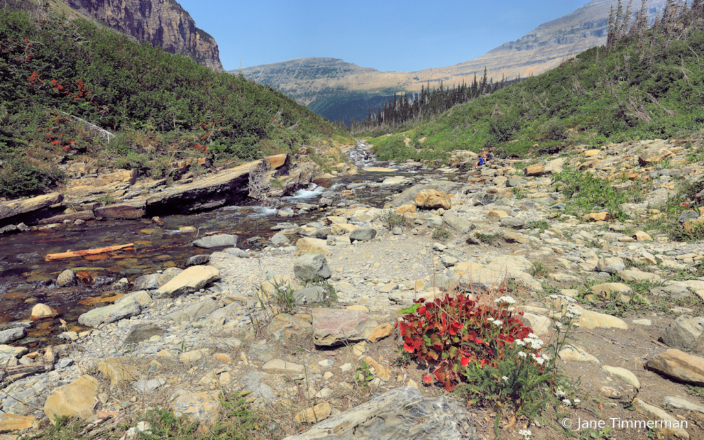 Siyeh/Piegan Pass