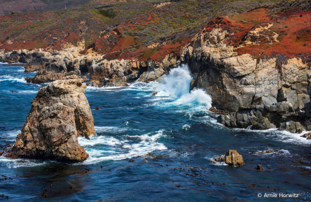 Big Sur Vista - Garrapata State Park