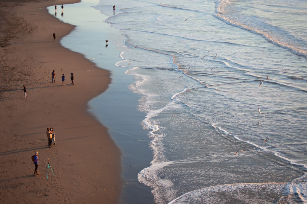 Ocean Beach