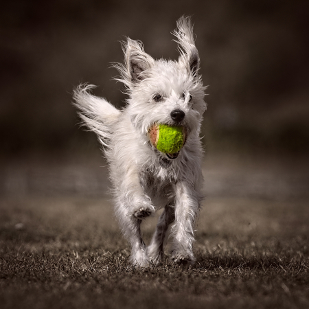 Running with the ball