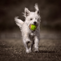 August 2021 Photo Contest 2nd Place Prize Winner