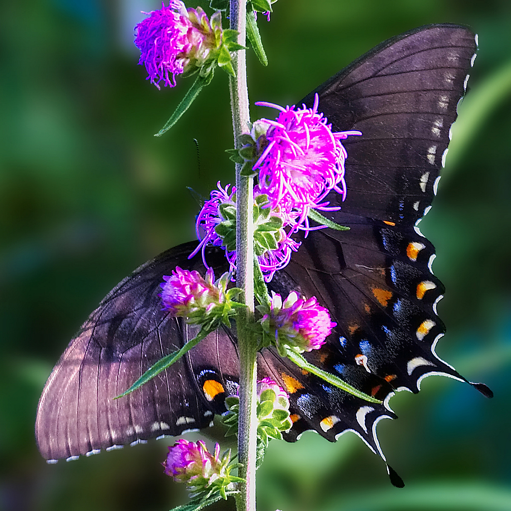 A Different View - ID: 15945668 © Janet Criswell