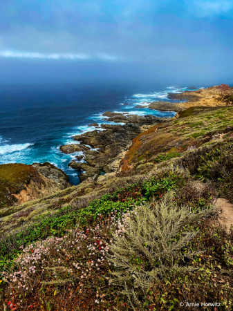 Big Sur Vista - Garrapata State Park