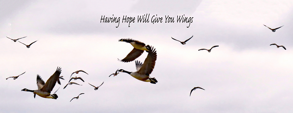 Hope Gives You Wings