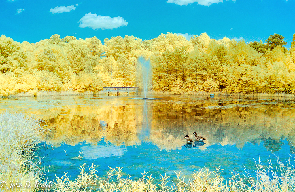 Lake Behind St. Michael's Church