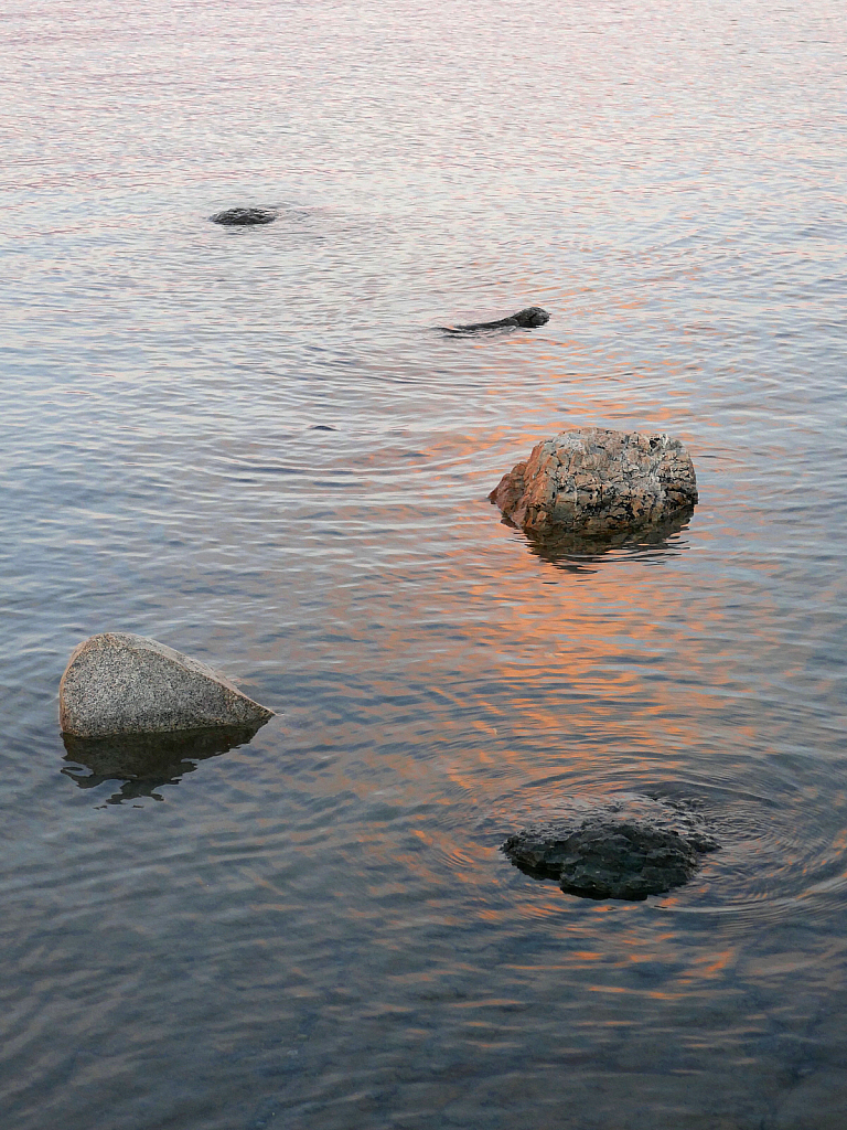 Emerging lake stones with sunset light