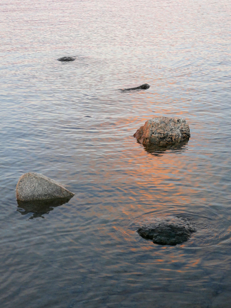 Emerging lake stones with sunset light