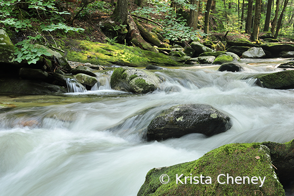 Cobb Brook, Jamaica, VT - ID: 15946782 © Krista Cheney