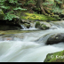 © Krista Cheney PhotoID# 15946782: Cobb Brook, Jamaica, VT