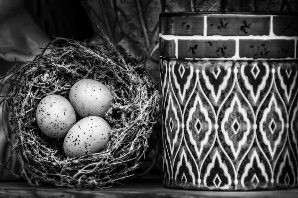 Eggs Nest Jar  6170