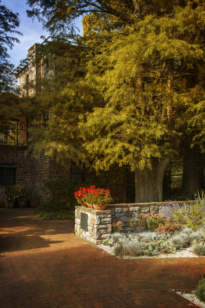 Afternoon in the Courtyard