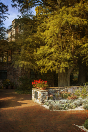 Afternoon in the Courtyard