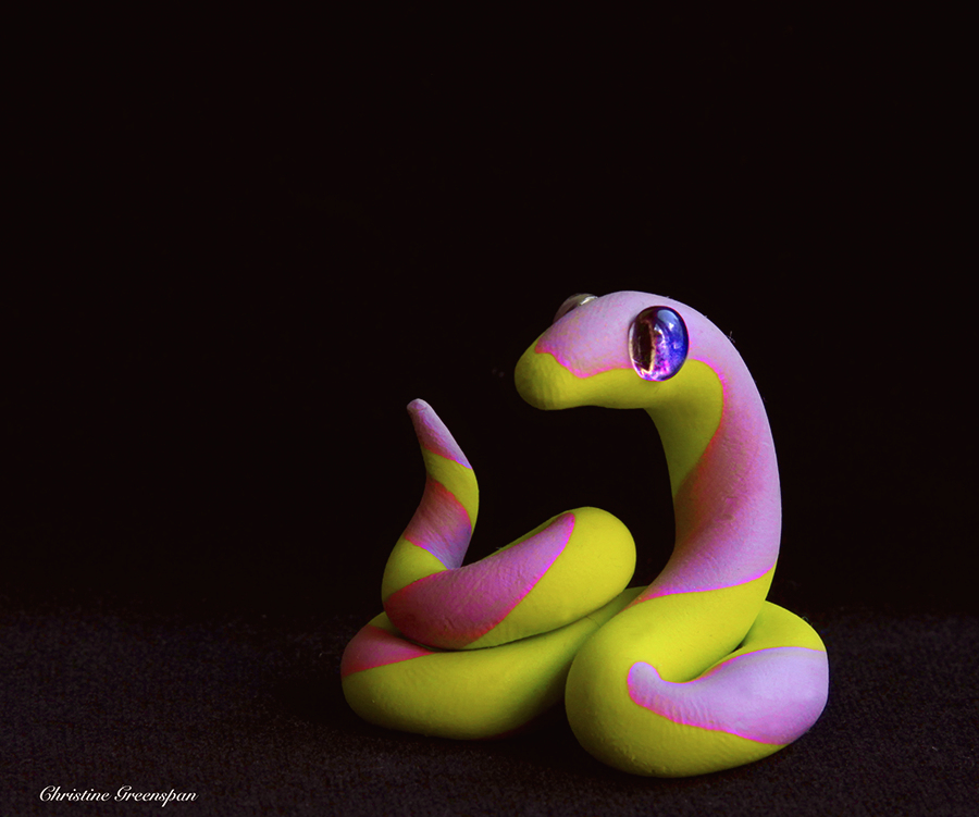 Cute Little Snake