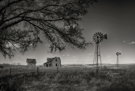 Kansas Homestead 