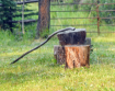 A Walking Stick
