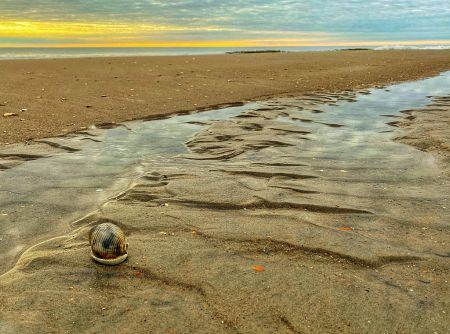 Bonnet on the Beach, Atlantic Beach NC