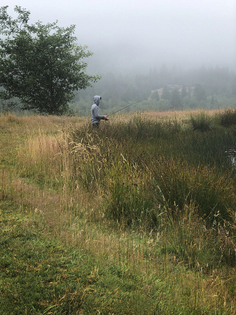 Foggy Fishing