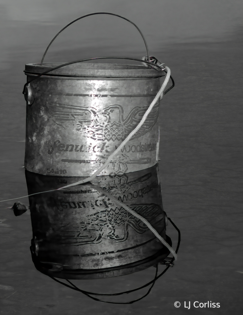 bait bucket