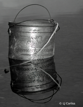 bait bucket