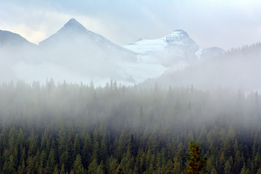 Fog in the Rockies