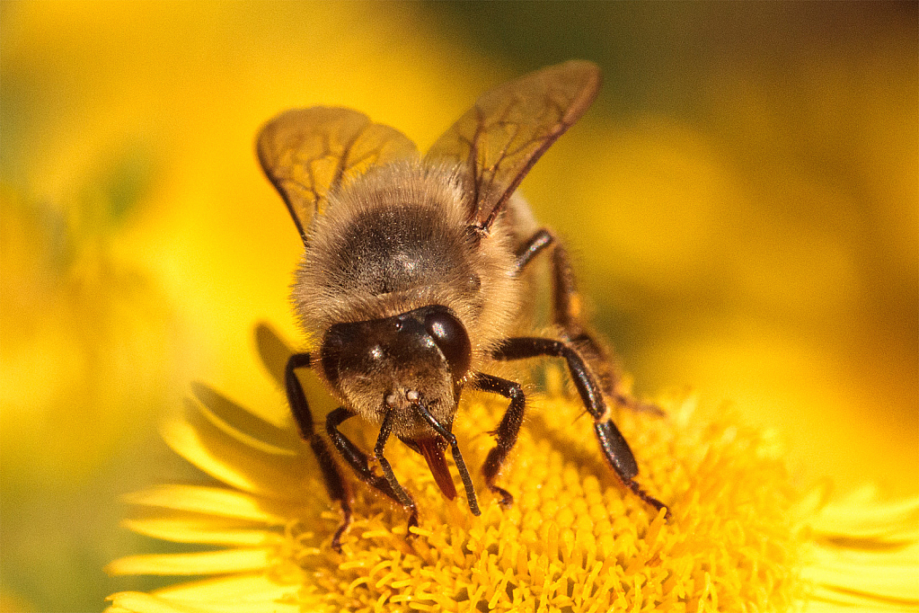 Time for food - ID: 15948893 © Susan Gallagher