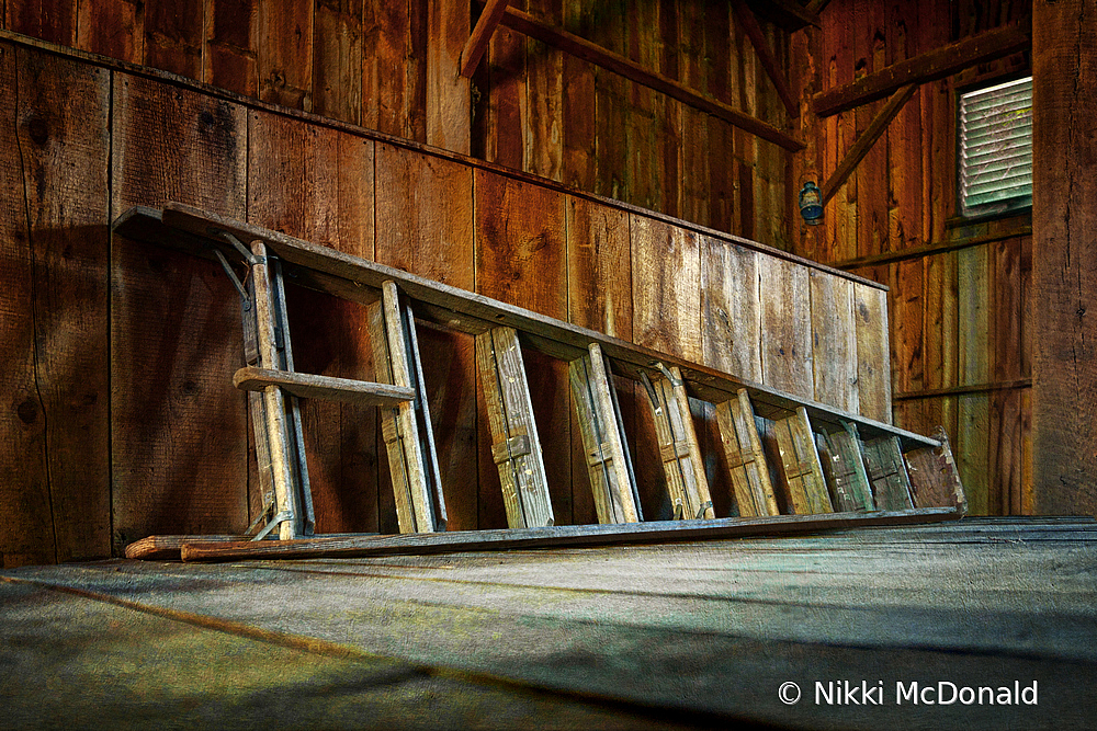 Ladder in the Loft