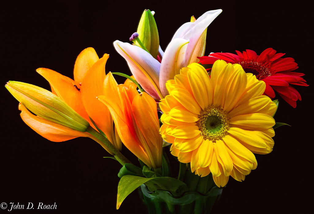 Colorful Bouquet - ID: 15948934 © John D. Roach