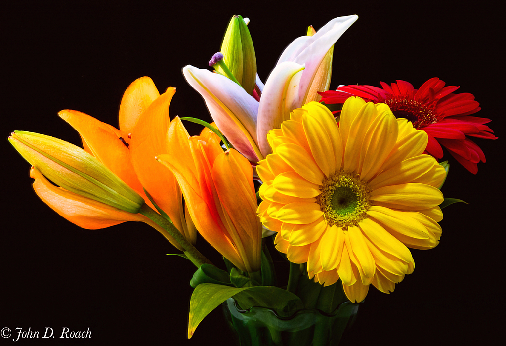 Colorful Bouquet