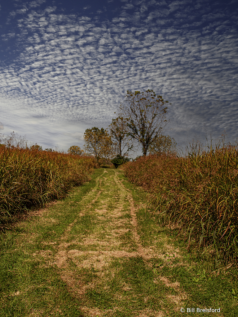 September Landscape