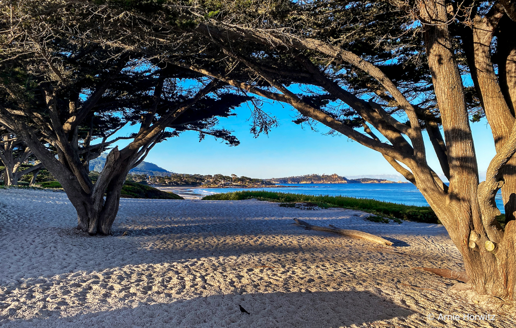 View of Carmel Beach and Point Lobos