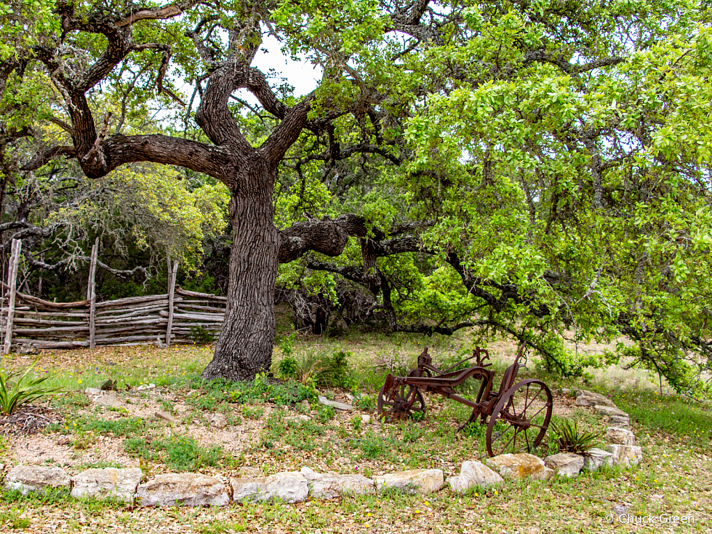 Country Yard Art