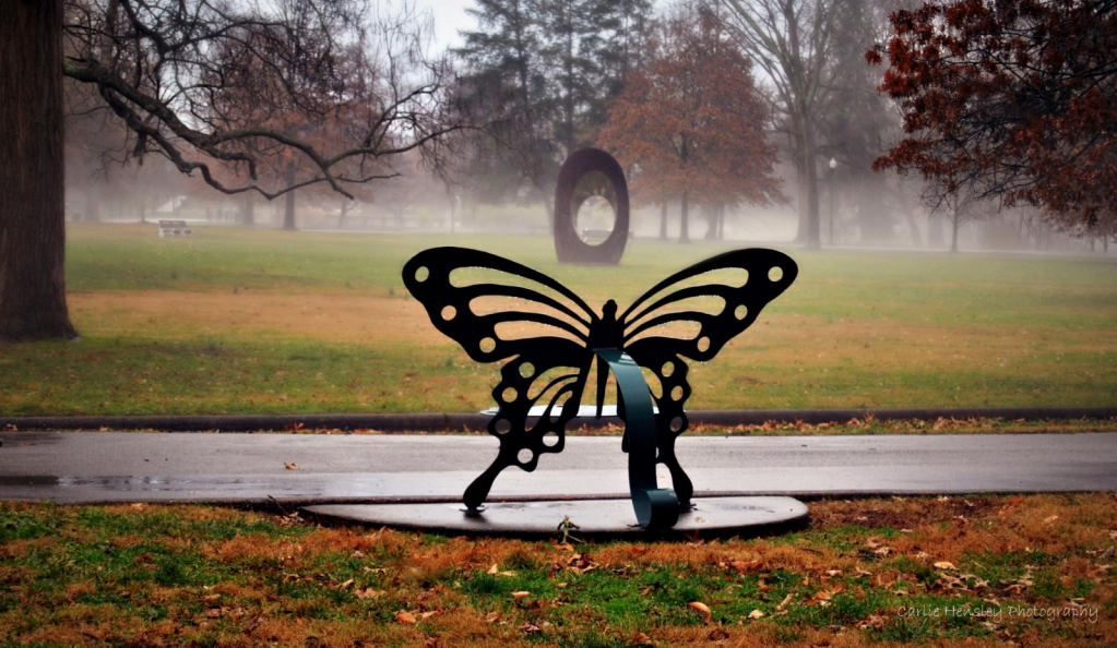 The historic butterfly bench