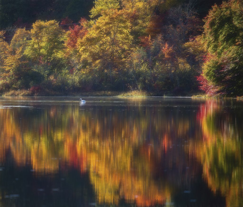 Autumn in New England