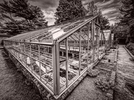 The Greenhouse