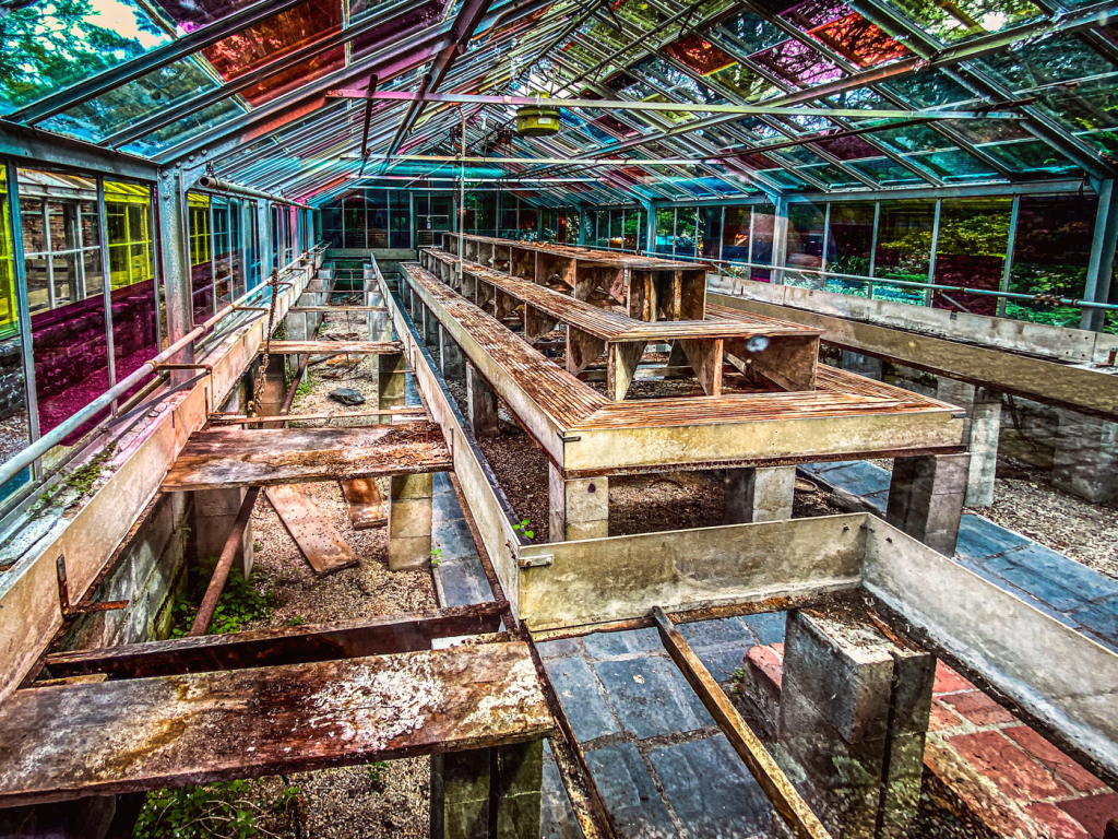 Inside the Greenhouse